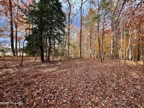 0 Williams Rd, Williamston, NC 27892 photo 13
