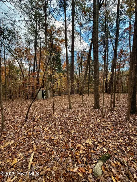 0 Williams Rd, Williamston, NC 27892 photo 16