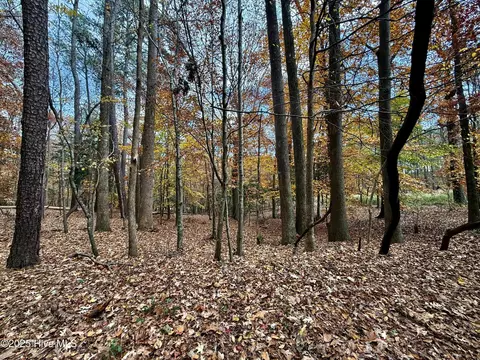 0 Williams Rd, Williamston, NC 27892 photo 12