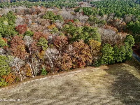 0 Williams Rd, Williamston, NC 27892 photo 8