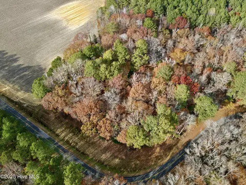 0 Williams Rd, Williamston, NC 27892 photo 4