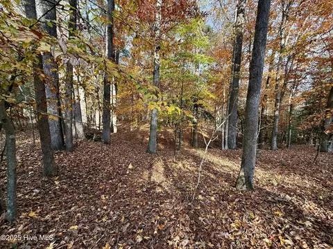 0 Williams Rd, Williamston, NC 27892 photo 10