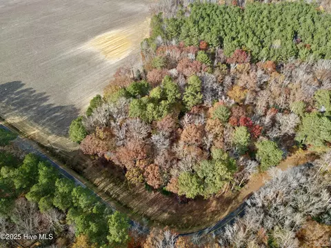 0 Williams Rd, Williamston, NC 27892 photo 3