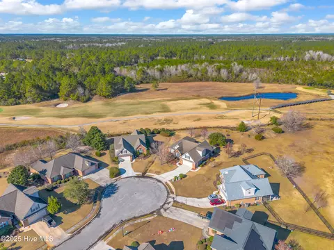 View/Area - 100 Scotlands Ct, Hampstead, NC 28443 photo 3 of 18