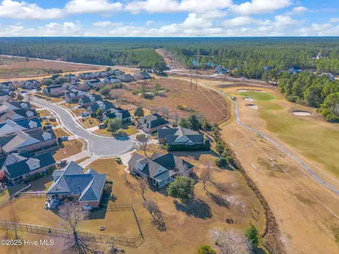 View/Area - 100 Scotlands Ct, Hampstead, NC 28443 photo 1 of 18