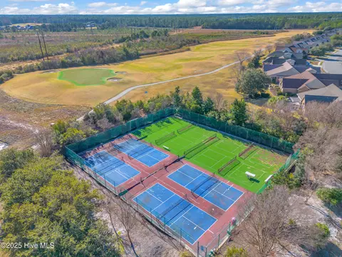 View/Area - 100 Scotlands Ct, Hampstead, NC 28443 photo 10 of 18