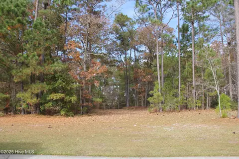 1193 Sabel Loop SE, Bolivia, NC 28422 photo 5