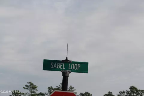 1193 Sabel Loop SE, Bolivia, NC 28422 photo 2