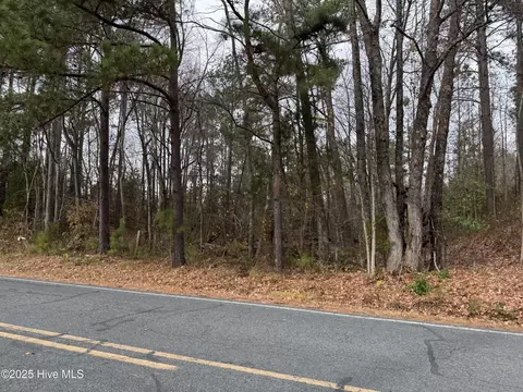 0 Boyd Lake Rd, Hamlet, NC 28345 photo 5