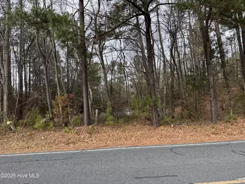 0 Boyd Lake Rd, Hamlet, NC 28345 photo 6