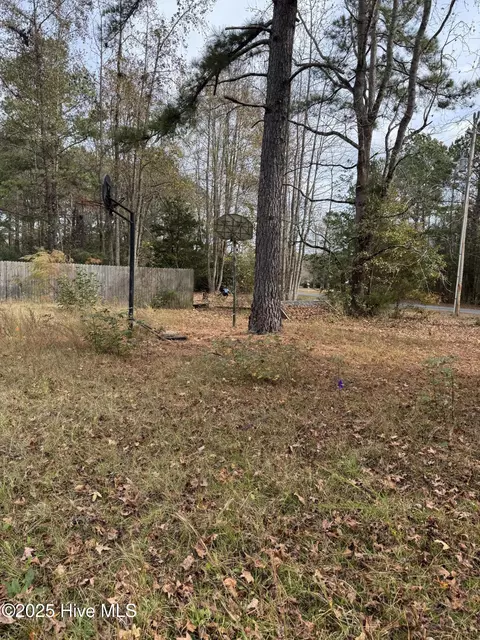0 Boyd Lake Rd, Hamlet, NC 28345 photo 9