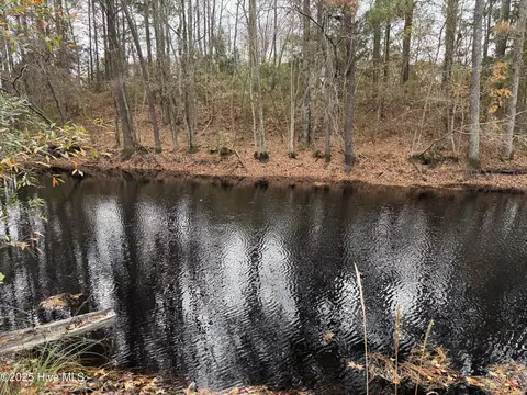 0 Boyd Lake Rd, Hamlet, NC 28345 photo 3
