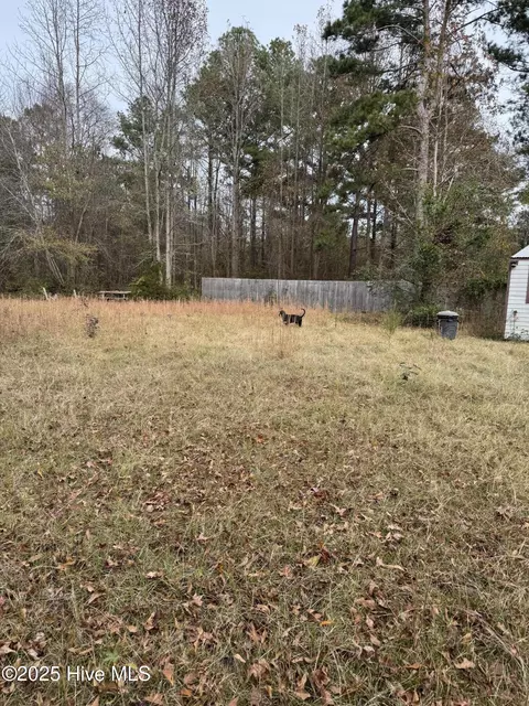 0 Boyd Lake Rd, Hamlet, NC 28345 photo 8