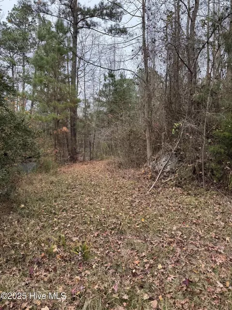 0 Boyd Lake Rd, Hamlet, NC 28345 photo 7