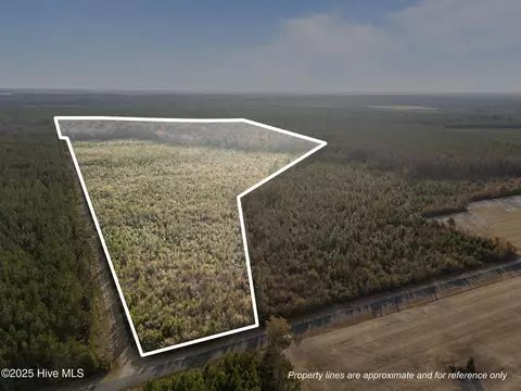 0 Sr 1934, Aurora, NC 27806
