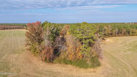 00 High School Rd, Teachey, NC 28464 photo 21