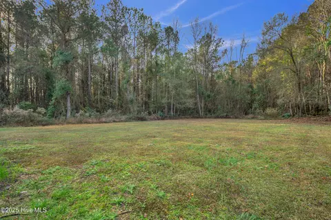 4993 Penderlea Hwy, Willard, NC 28478 photo 38