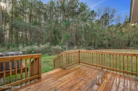 4993 Penderlea Hwy, Willard, NC 28478 photo 32