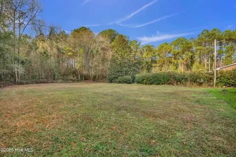 4993 Penderlea Hwy, Willard, NC 28478 photo 37
