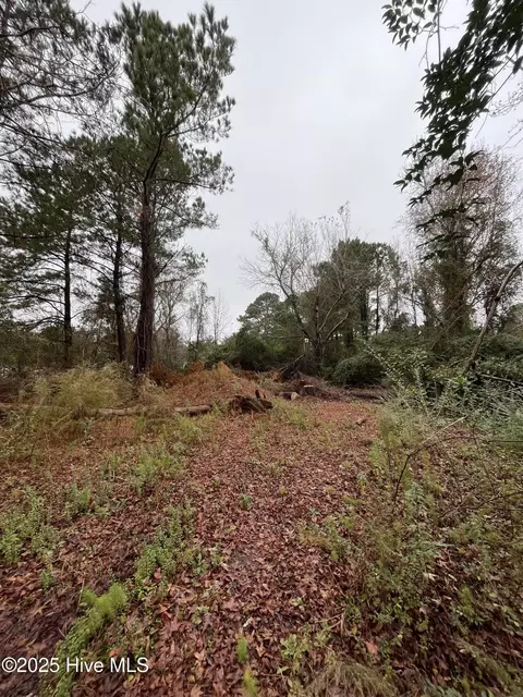 202 South Dr, Beaufort, NC 28516