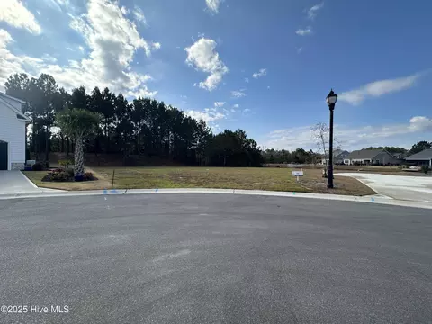 2216 Palm Pointe NE, Leland, NC 28451