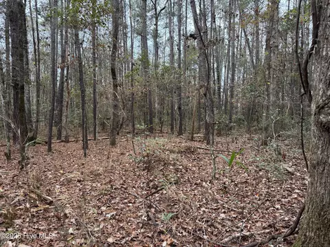 0 Near 715 Nc Hwy 133, Rocky Point, NC 28457