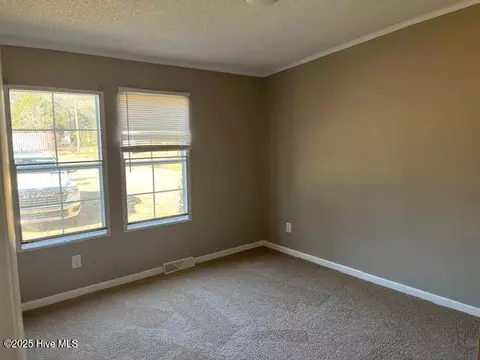 229 Pineview Rd, Richlands, NC 28574 photo 13