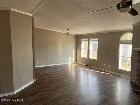 229 Pineview Rd, Richlands, NC 28574 photo 4