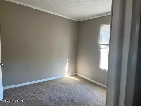 229 Pineview Rd, Richlands, NC 28574 photo 15