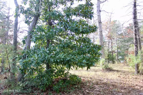 12 Tradewinds Dr, Hampstead, NC 28443 photo 6