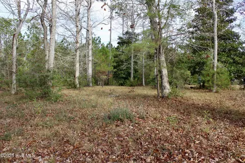 12 Tradewinds Dr, Hampstead, NC 28443 photo 5
