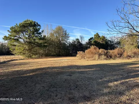 814 Luther Banks Rd, Beulaville, NC 28518
