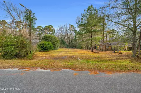 14 Crabapple Ln, Lake Waccamaw, NC 28450