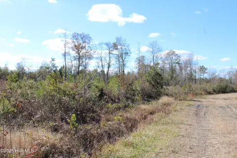 lot1 Richlands Rd, Trenton, NC 28585