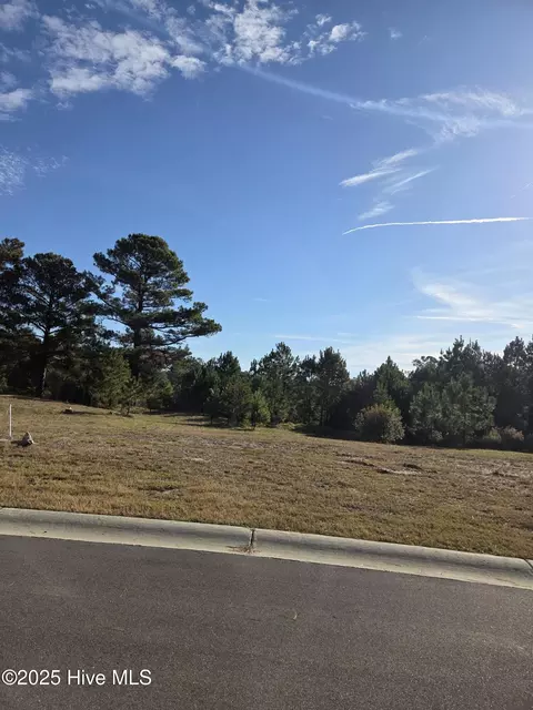 958 Montclair Pl SW, Sunset Beach, NC 28468 photo 3