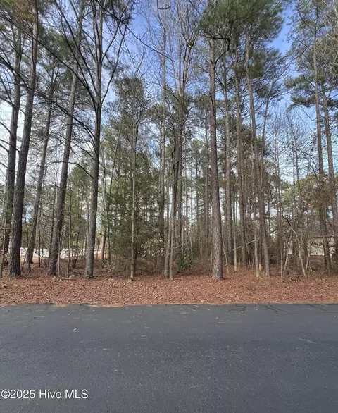 159 Laurel Oak Ln, Pinebluff, NC 28373