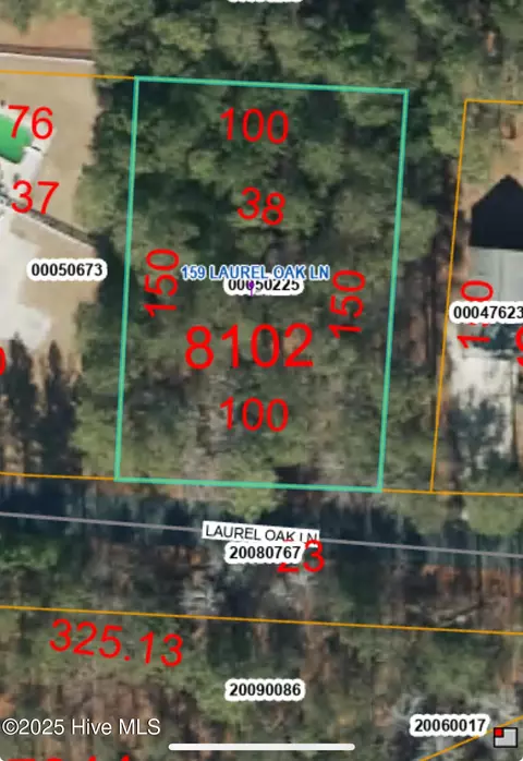 159 Laurel Oak Ln, Pinebluff, NC 28373 photo 3