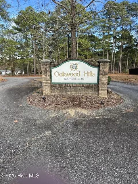 159 Laurel Oak Ln, Pinebluff, NC 28373 photo 2