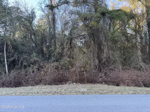 00 New Hope Church Rd, Turkey, NC 28393