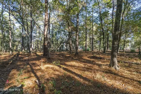 3307 Portside Dr SW, Supply, NC 28462 photo 12