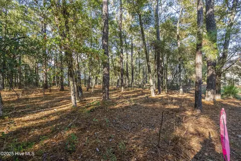 3307 Portside Dr SW, Supply, NC 28462 photo 11