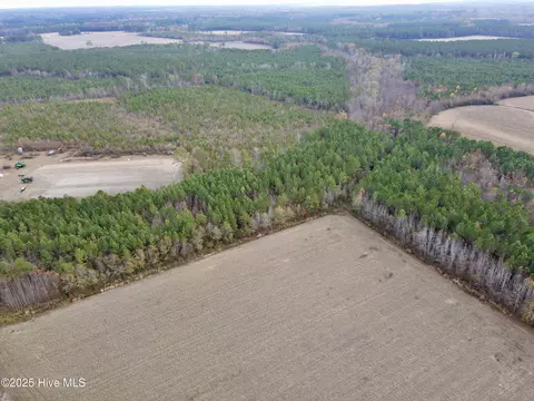 0 Osbourne Rd, Williamston, NC 27892 photo 3