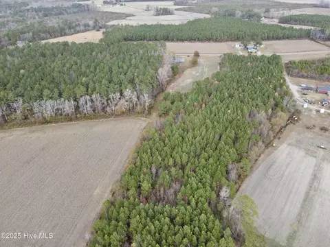 0 Osbourne Rd, Williamston, NC 27892 photo 4