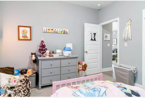 Bedroom - 9735 Chapman Rd, Bailey, NC 27807 photo 3 of 3