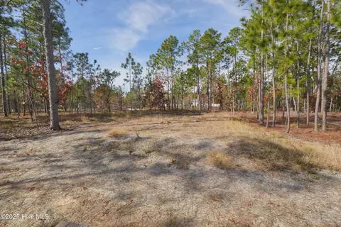 Exterior - 649 Prospect Rd, Boiling Spring Lakes, NC 28461 photo 2 of 3