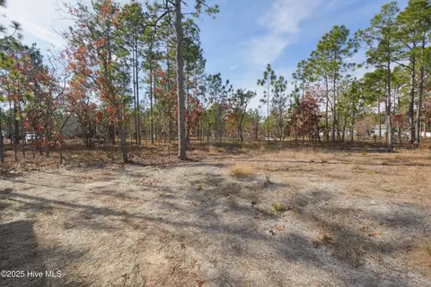 Exterior - 649 Prospect Rd, Boiling Spring Lakes, NC 28461 photo 3 of 3