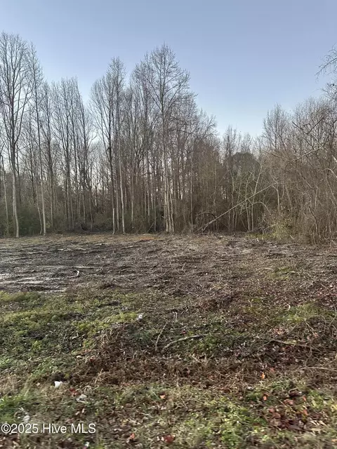 9585 Shallow Creek Trl, Bailey, NC 27807