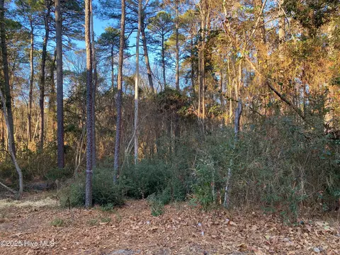4 Belmont Ct, Pinehurst, NC 28374 photo 2