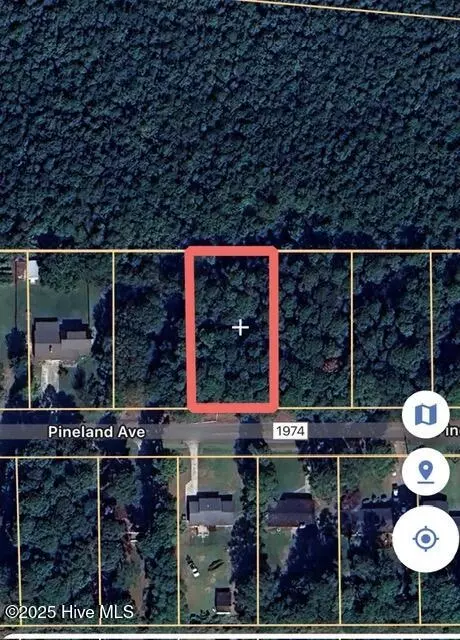 0 Pineland Ave, Mount Olive, NC 28365