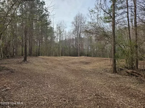 227 Langley Rd, Chocowinity, NC 27817 photo 4